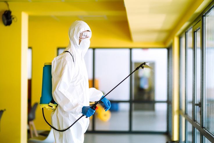 تواصل الآن مع شركه مكافحه صراصير واحجز خدمة تقضي على المشكلة من جذورها