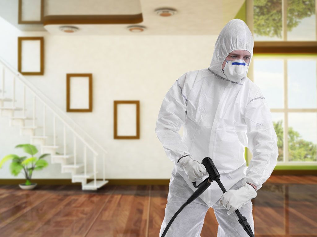 الشركة الالمانية لمكافحة الحشرات في القنطرة 15 خدمة عملاء الشركة الألمانية لمكافحة الحشرات في القنطرة