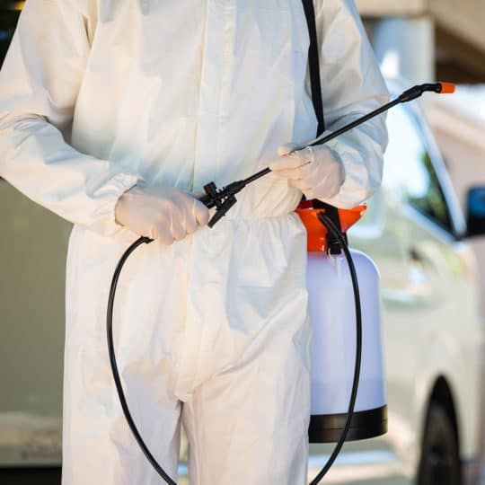 شركات الحشرات في الشرابيه