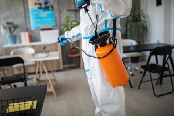 شركة ابادة حشرات