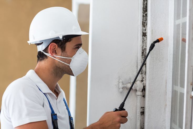 شركة اباده حشرات.