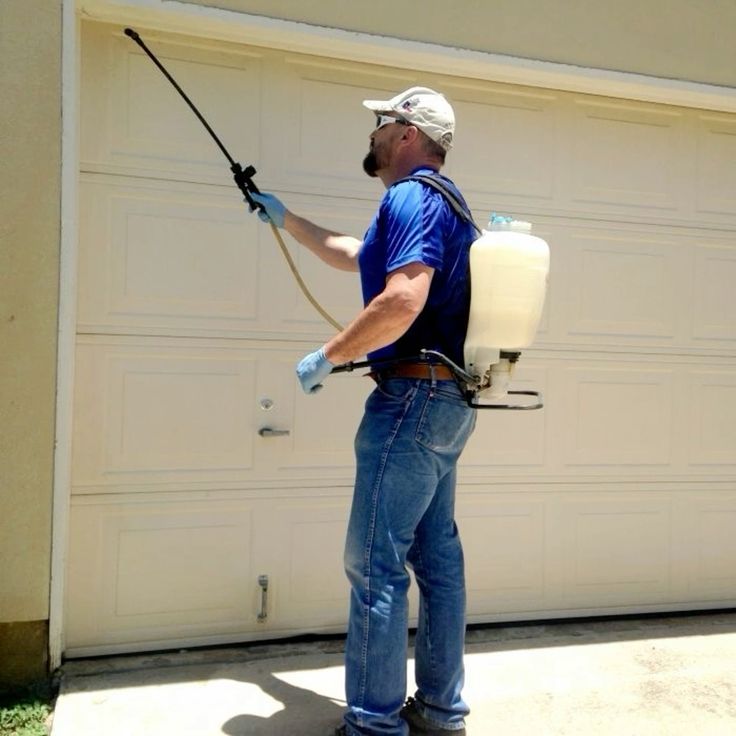 شركة بخ صراصير