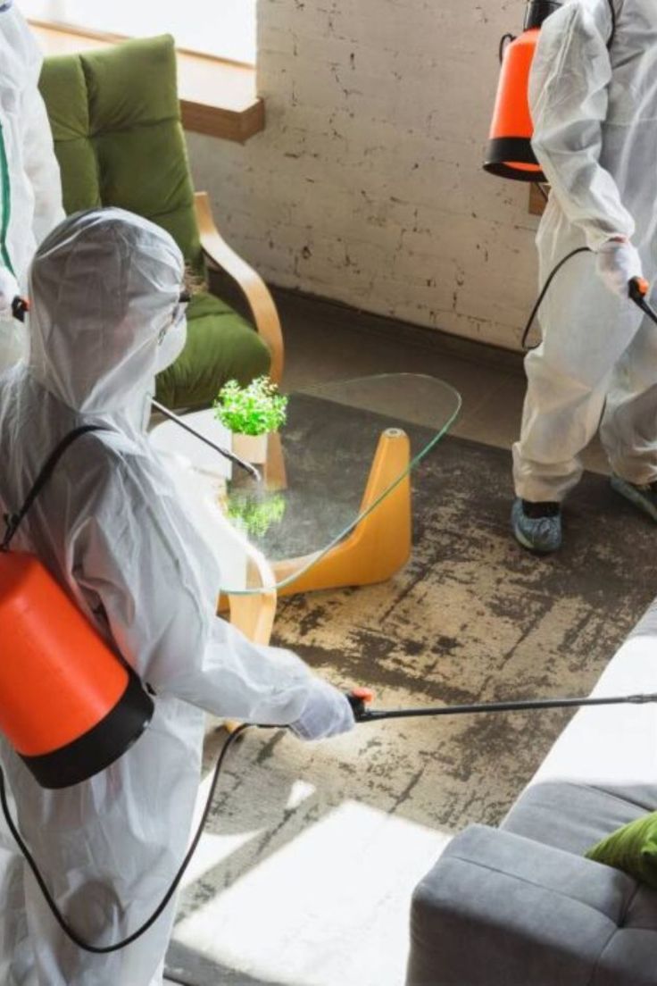 شركة تنظيف حشرات