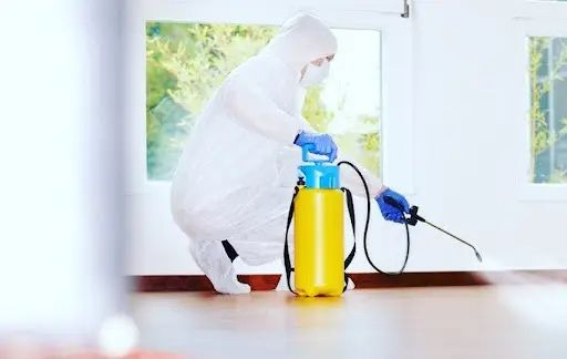 شركة مبيدات حشرية في أرض اللواء