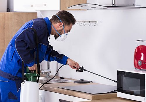 شركة مبيدات حشرية في بشتيل