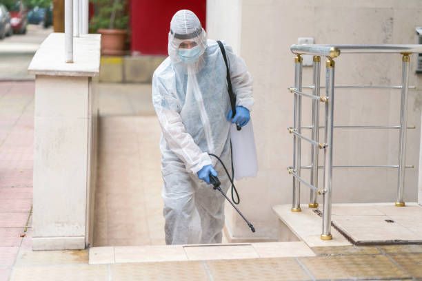 شركة مبيدات حشرية