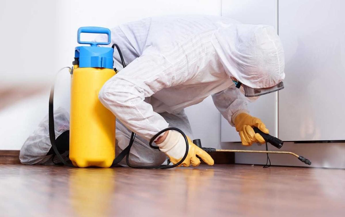 شركة مبيدات في أرض اللواء