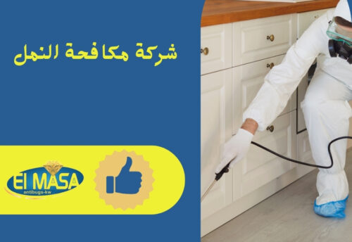 شركة مكافحة النمل