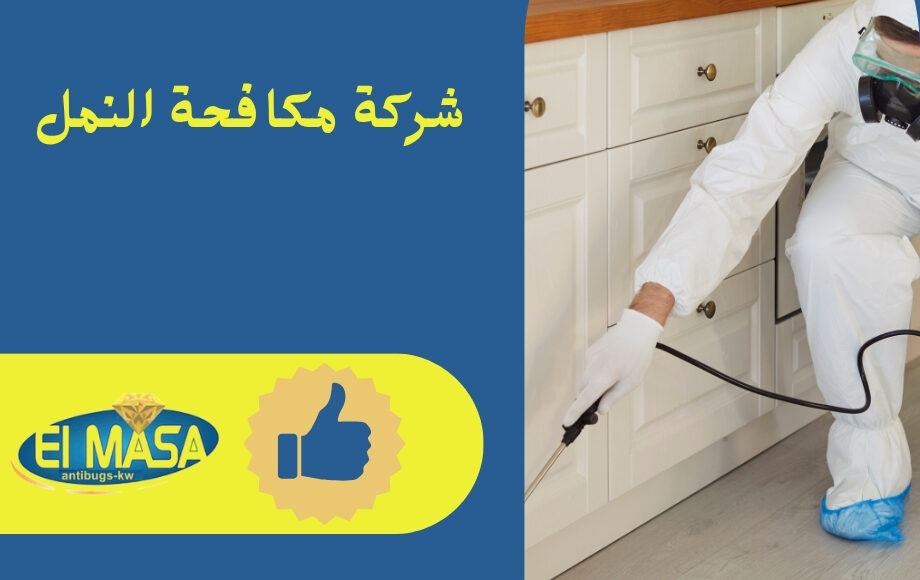 شركة مكافحة النمل