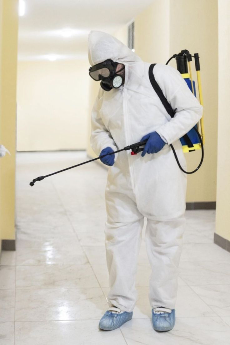 شركه رش البق