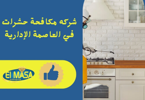 شركه مكافحة حشرات في العاصمة الإدارية