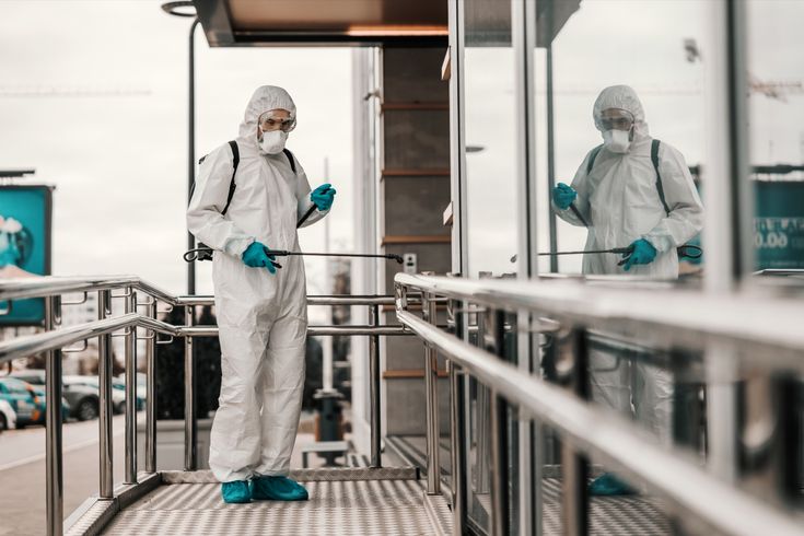 شركه مكافحة حشرات في المنيب