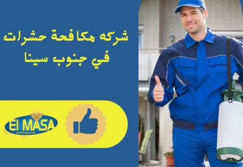 شركه مكافحة حشرات في جنوب سينا