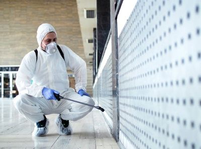 شركه مكافحه صراصير