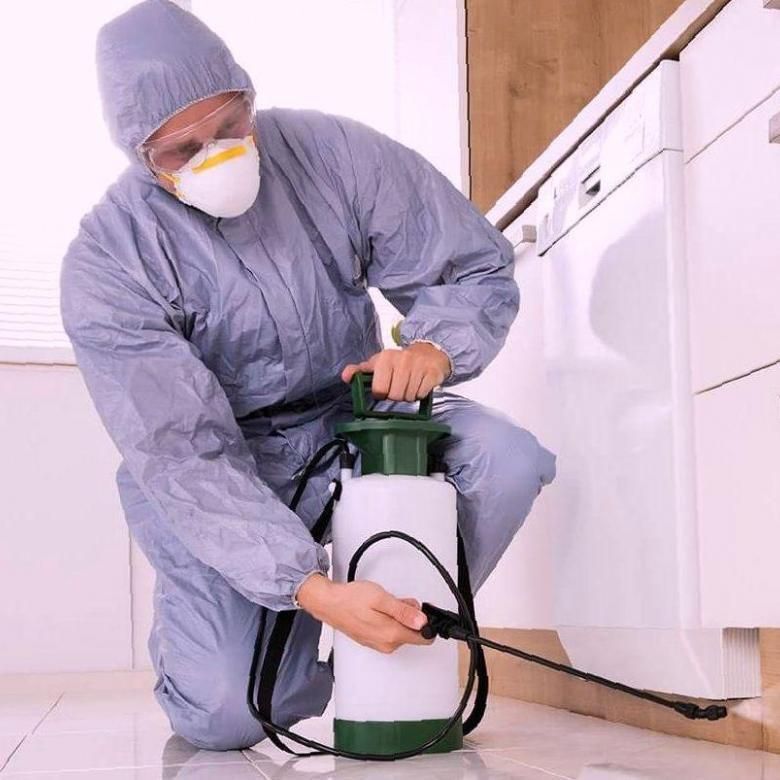 مبيدات حشرية منزلية في أرض اللواء