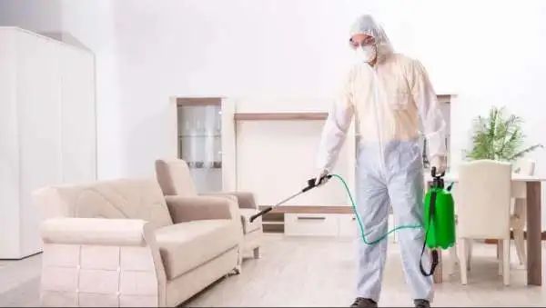 مبيدات حشرية منزلية في العاصمة الإدارية