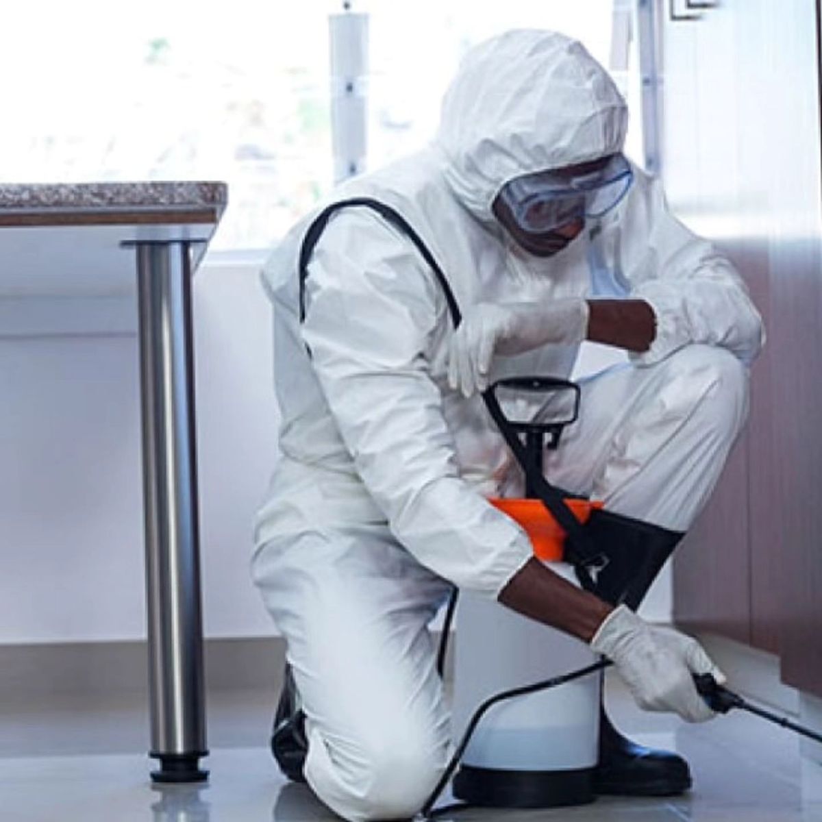 مبيدات حشرية منزلية في حدائق أكتوبر