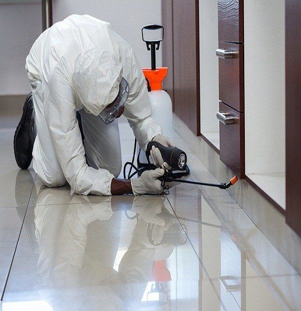 الشركة الالمانية لمكافحة الحشرات في القنطرة 18 مميزات الشركة الالمانية لمكافحة الحشرات في القنطرة